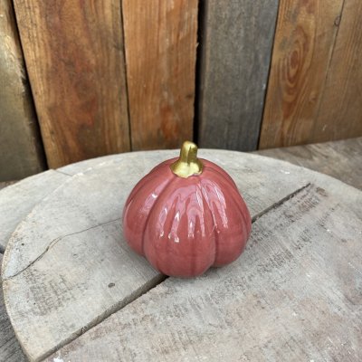 Pumpa Fenja Plommon Stor Mix
