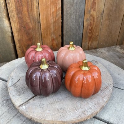 Pumpa Fenja Orange Stor Mix
