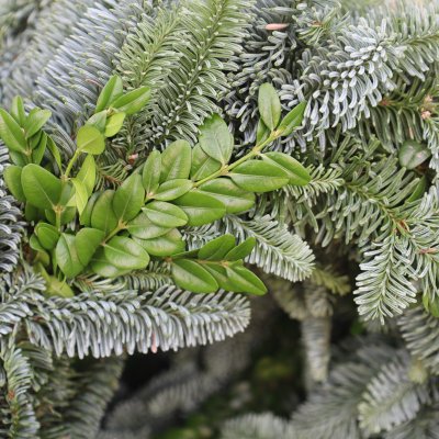 Krans Nobilis / Buxbom Mix 30cm