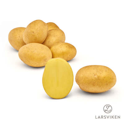 Sättpotatis Jule 1kg Ekologisk