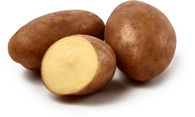 Sättpotatis Maestro (Storlek: 1kg)