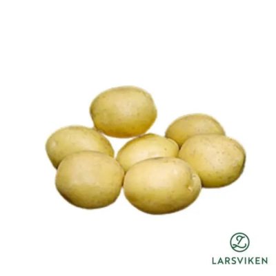 Sättpotatis Maya 1kg