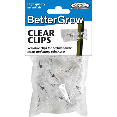 Orkidéclips 12-pack