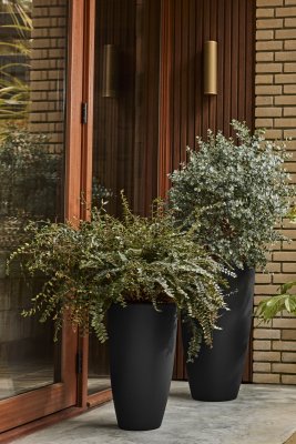 June Round High Black