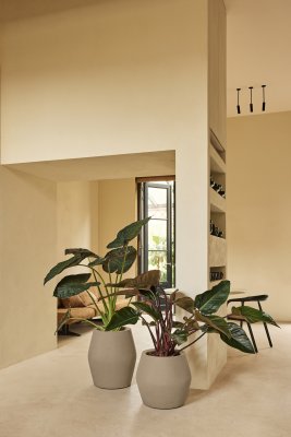 June Split Balanced Beige