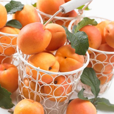 Aprikos, Nancy (Aprikose von Nancy)