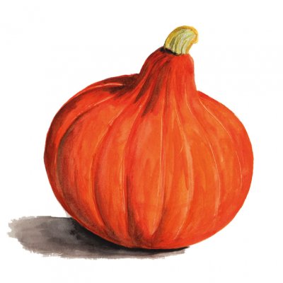 Pumpa, Jätte-, Uchiki Kuri