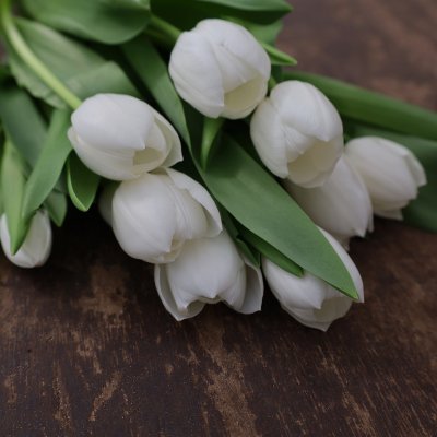 Tulpan Mix Beauty 30st