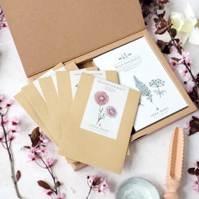 Fröbox Flowers To Dry - The Great Collection