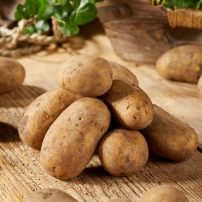 Sättpotatis Alexandra 1kg