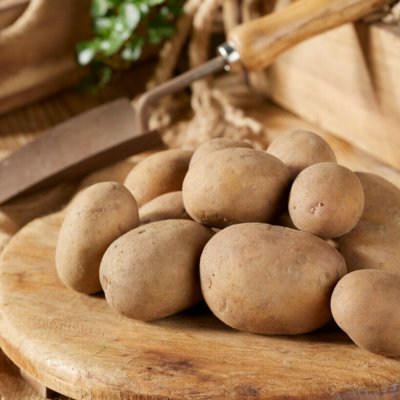 Sättpotatis Almonda 1kg Ekologisk Årets Potatis 2021!