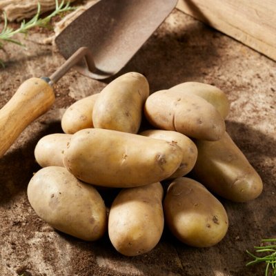 Sättpotatis Amandine 1kg