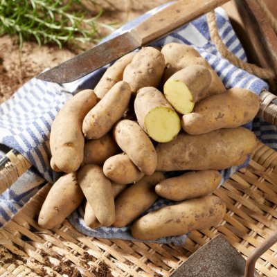 Sättpotatis Sparris 1kg