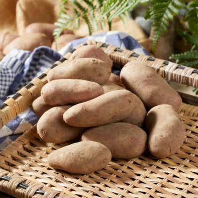 Sättpotatis Cherie 1kg - Årets Potatis 2023!