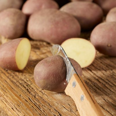 Sättpotatis Corazon 1kg