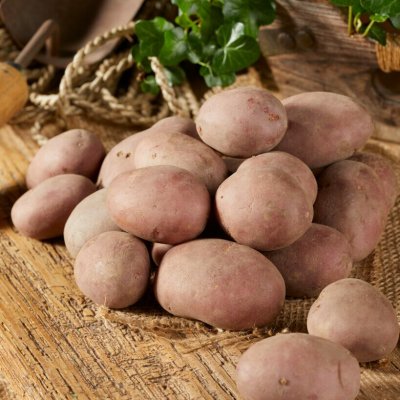 Sättpotatis Corazon 1kg