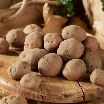Sättpotatis Early Rose (Rosen) 1kg