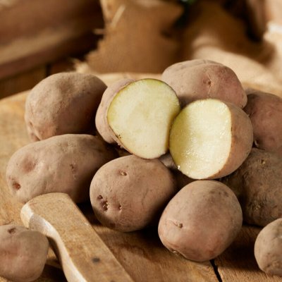 Sättpotatis Early Rose (Rosen) 1kg