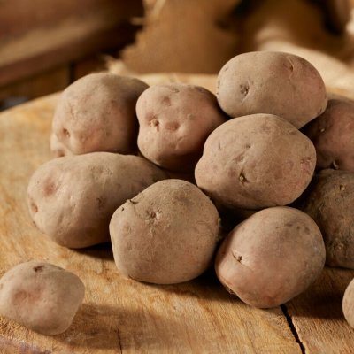 Sättpotatis Early Rose (Rosen) 1kg