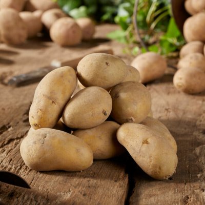 Sättpotatis Jazzy 1kg