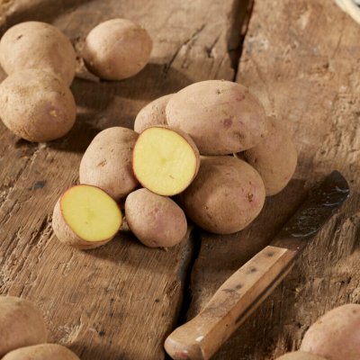 Sättpotatis Labella 1kg