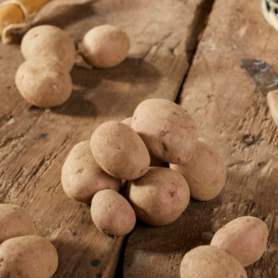 Sättpotatis Labella 1kg