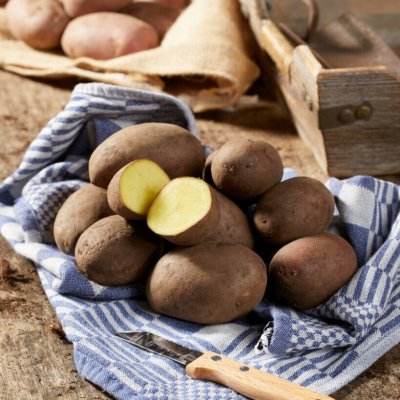 Sättpotatis Laura 1kg