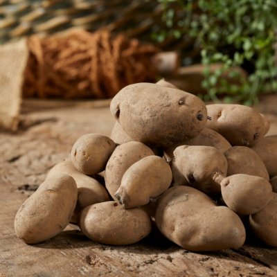 Sättpotatis Mandel 1kg