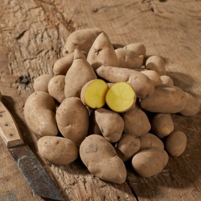 Sättpotatis Mandel 1kg