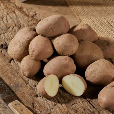 Sättpotatis Monte Carlo 1kg