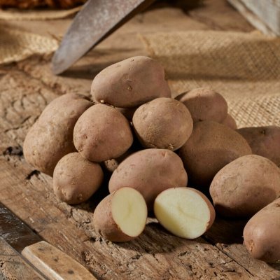 Sättpotatis Monte Carlo 1kg