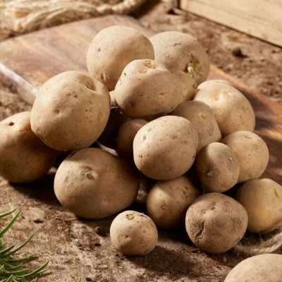 Sättpotatis Rocket 1kg