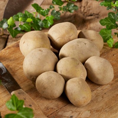 Sättpotatis Sunita 1kg Ekologisk