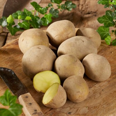 Sättpotatis Sunita 1kg Ekologisk