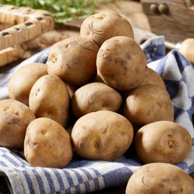 Sättpotatis Timo 1kg