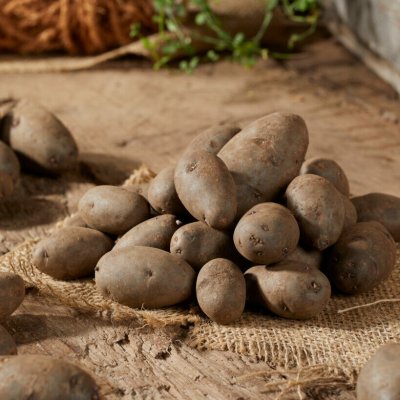 Sättpotatis Violet Queen 1kg