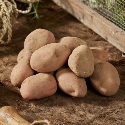 Sättpotatis Yona Ekologisk 1kg