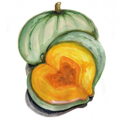 Squash, Vinter-, Sweet Meat Oregon Homestead
