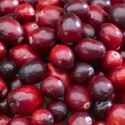 Vaccinium macrocarpon Early Black, Amerikanskt Tranbär