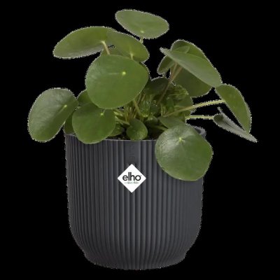 Kruka Fold Round - Återvunnen Plast