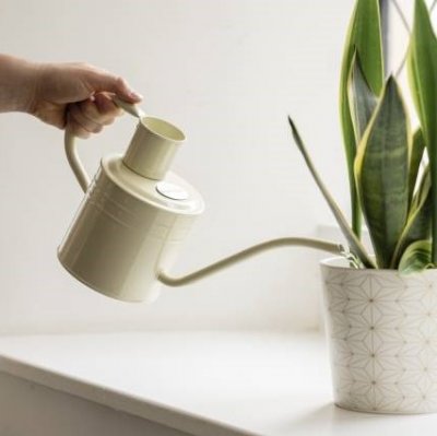 Vattenkanna Creme 1L