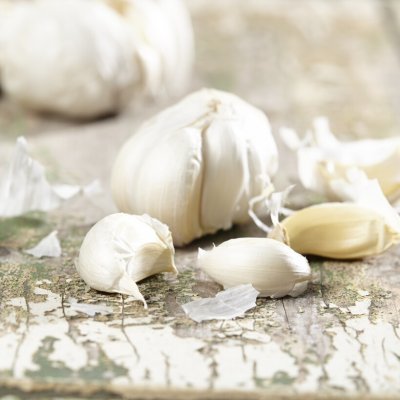 Allium sativum Flavor