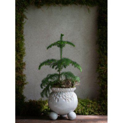 Kruka Anya Offwhitemelerad