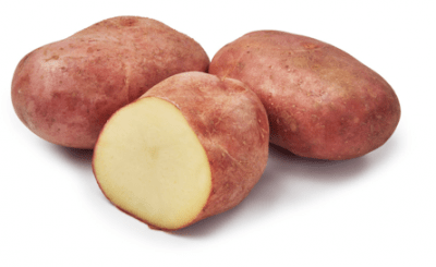 Sättpotatis Yona Ekologisk 1kg