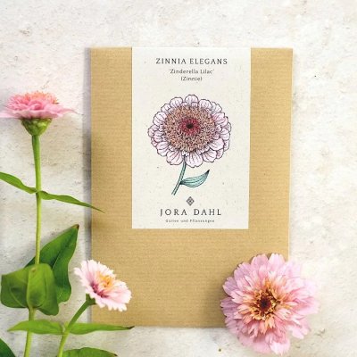 Zinnia, Zinderella Lilac
