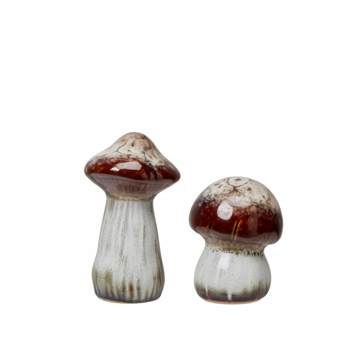 Svamp Beigemelerad (Storlek: 6x7cm)