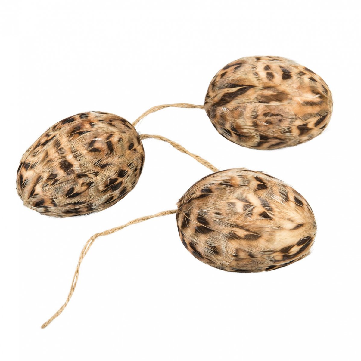 Ägg m fjäder Hängsnöre Rand 6cm