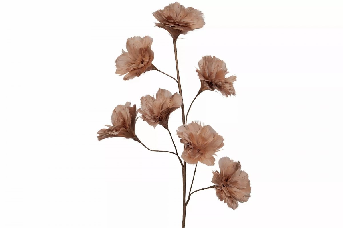 Kvist Fjäderblomma Mullvad 100cm