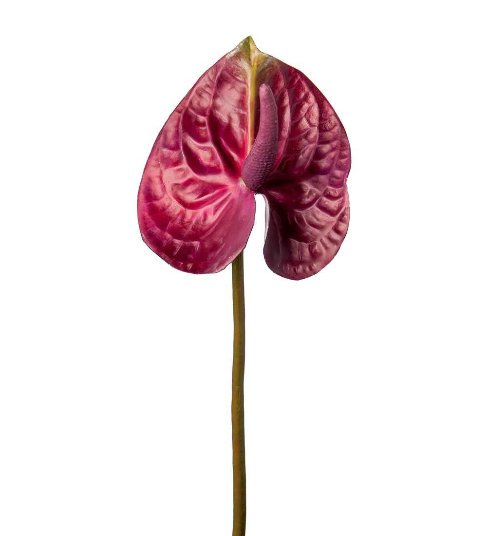 Anthurium 60cm Burgundy, Konstgjord