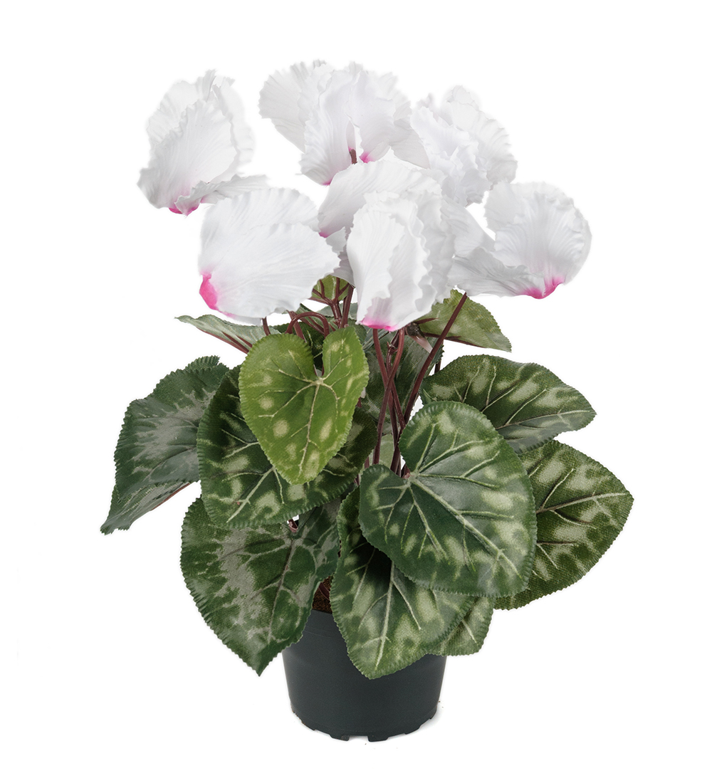 Cyklamen Vit/rosa 32cm, Konstgjord